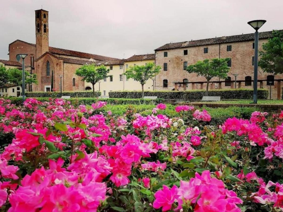 Lo Stellario Di Lucca